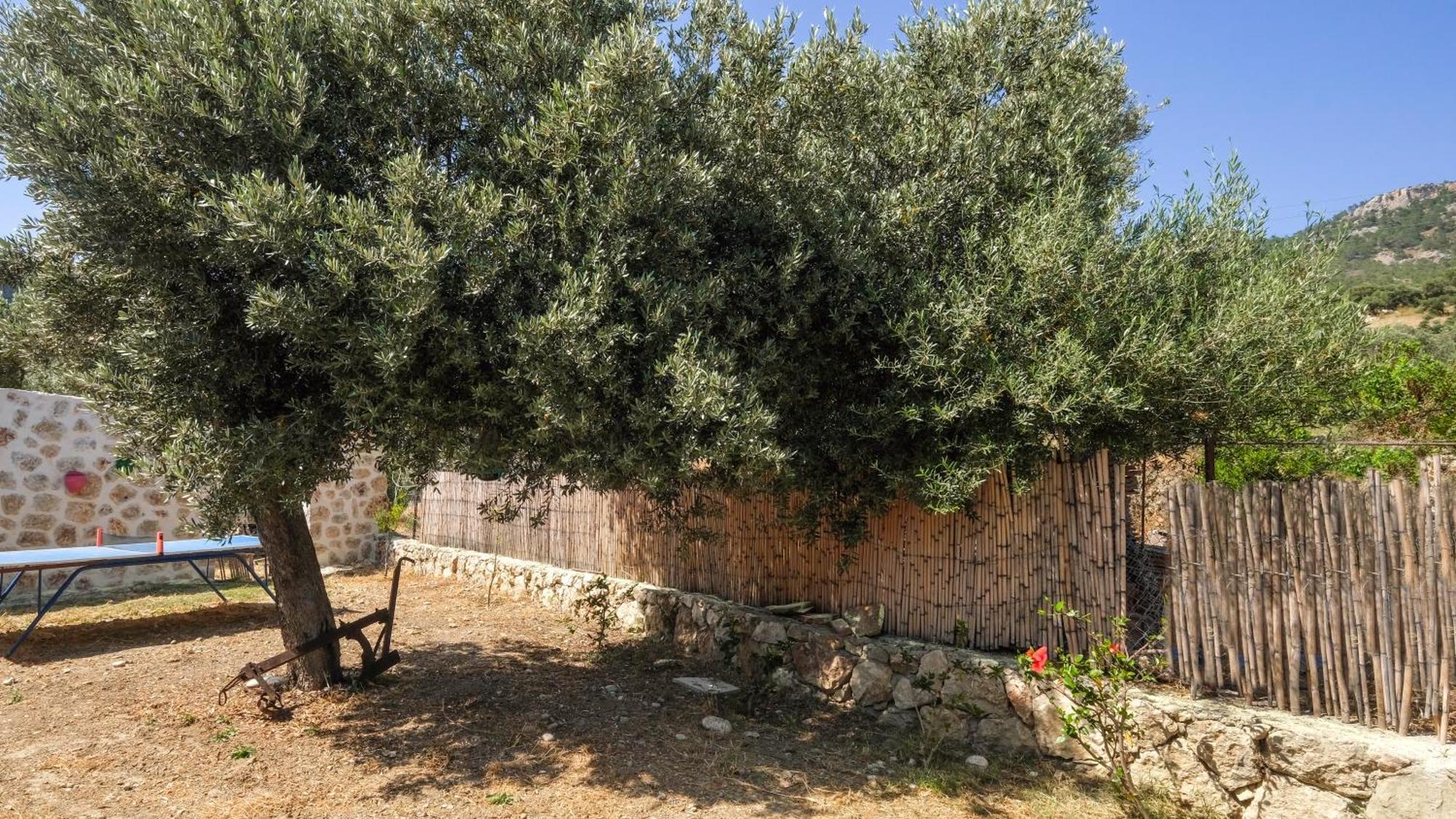 パタラ Likya House - Deniz Ve Doga Manzarali, Havuzluヴィラ エクステリア 写真